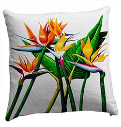 pillow2